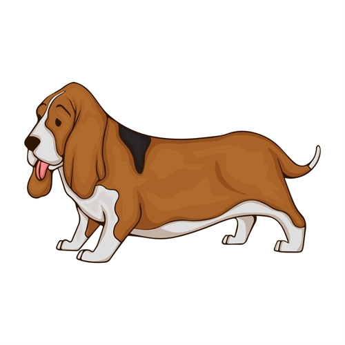 Dog Lovers Theme Basset Hound Dog Transparent Sticker
